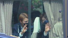 美人鱼吃瓜娱乐圈